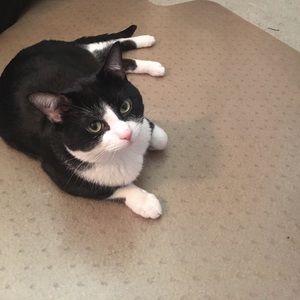 Meet your Posher, Jasmyn